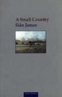 Cover: A Small Country - Seren