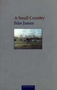 Enlarge image Cover: A Small Country - Seren