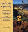 Cover: Under the Open Sky - Truran