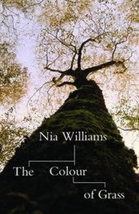 Enlarge image Cover: The Colour of Grass - Seren