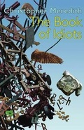Cover: The Book of Idiots - Seren