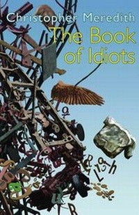 Enlarge image Cover: The Book of Idiots - Seren