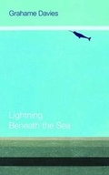 Cover: Lightning Beneath the Sea - Seren