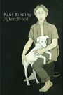 Cover: After Brock - Seren