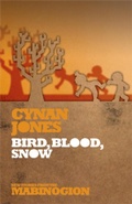 Cover: Bird Blood Snow - Seren