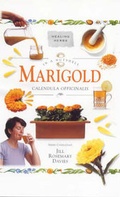Cover: Marigold - Thorsons