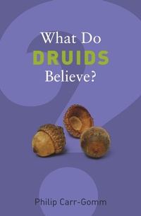 Abbildung von: What Do Druids Believe? - Granta Books