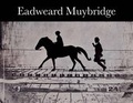 Cover: Eadweard Muybridge - Tate Publishing