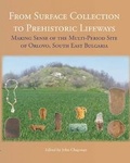 Cover: From Surface Collection to Prehistoric Lifeways - Oxbow Books