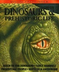 Cover: Dinosaurs & Prehistoric Life - Miles Kelly Publishing
