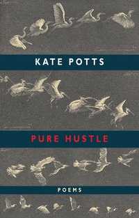 Enlarge image Cover: Pure Hustle - Bloodaxe Books Ltd