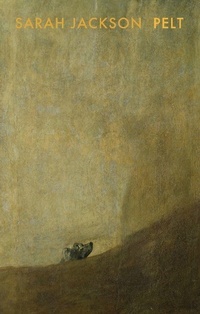 Enlarge image Cover: Pelt - Bloodaxe Books Ltd