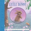 Cover: Time To Go Home Little Bunny - Templar Publishing