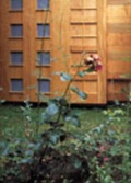 Cover: Thinking of the Outside - University of the West of England