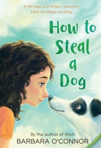 Enlarge image Cover: How to Steal a Dog - St Martin's Press
