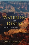 Cover: Watering the Desert - The Mercier Press