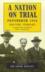 Cover: A Nation on Trial - Welsh Academic Press