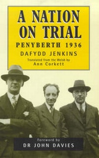 Enlarge image Cover: A Nation on Trial - Welsh Academic Press