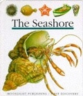 Cover: The Seashore - Moonlight Publishing Ltd