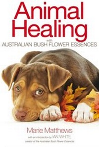 Abbildung von: Animal Healing with Australian Bush Flower Essences - Findhorn Press