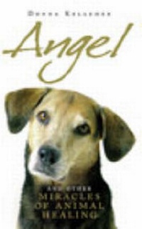 Abbildung von: Angel - Rider & Co