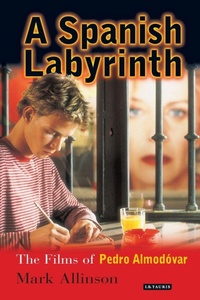 Enlarge image Cover: A Spanish Labyrinth - I.B. Tauris
