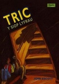 Cover: Cyfres Enlli: Pecyn Lefel 1 - Tric y Siop Lyfrau - CAA Cymru