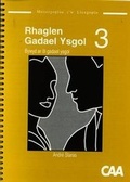 Cover: Rhaglen Gadael Ysgol: 3. Bywyd ar l Gadael Ysgol - Meistrgopau i'w Llungopo - CAA Cymru