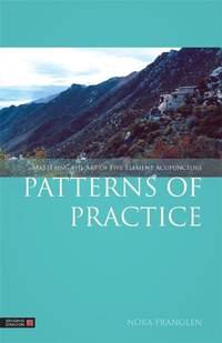 Abbildung von: Patterns of Practice - Singing Dragon