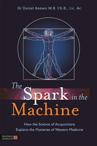 Abbildung von: The Spark in the Machine - Singing Dragon