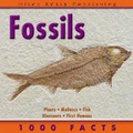 Cover: Fossils - Miles Kelly Publishing Ltd