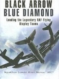 Cover: Black Arrows Blue Diamonds - Pen & Sword Aviation