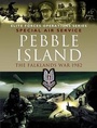 Cover: Pebble Island - Pen & Sword Military