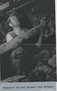 Abbildung von: Twenty Years Down the Mines - Stenlake Publishing