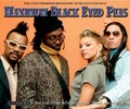 Cover: Maximum "Black Eyed Peas" - Chrome Dreams