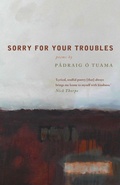 Cover: Sorry For Your Troubles - Canterbury Press Norwich