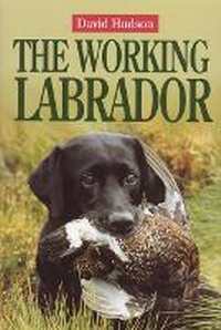 Enlarge image Cover: The Working Labrador - Quiller Publishing Ltd