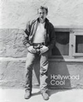 Cover: Hollywood Cool - ACC Art Books