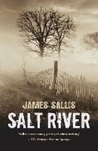 Enlarge image Cover: Salt River - No Exit Press