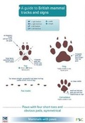Cover: A Guide to British Mammal Tracks and Signs - Field Studies Council