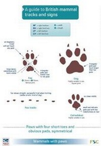 Enlarge image Cover: A Guide to British Mammal Tracks and Signs - Field Studies Council