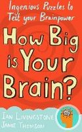 Cover: How Big is Your Brain? - Icon Books