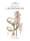 Cover: Botanical Magazine Monograph: The Genus Lachenalia - Kew Publishing