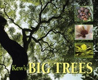 Enlarge image Cover: Kew's Big Trees - Royal Botanic Gardens