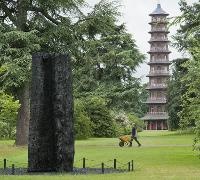 Enlarge image Cover: David Nash - Kew Publishing