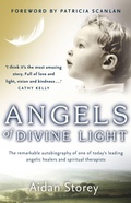 Cover: Angels of Divine Light - Transworld Ireland