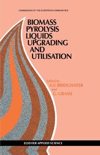 Enlarge image Cover: Biomass Pyrolysis Liquids Upgrading and Utilization - Springer