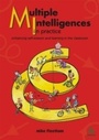 Cover: Multiple Intelligences in Practice - Network Continuum Education