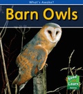 Cover: Barn Owls - Raintree Publishers