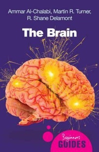 Enlarge image Cover: The Brain - Oneworld Publications